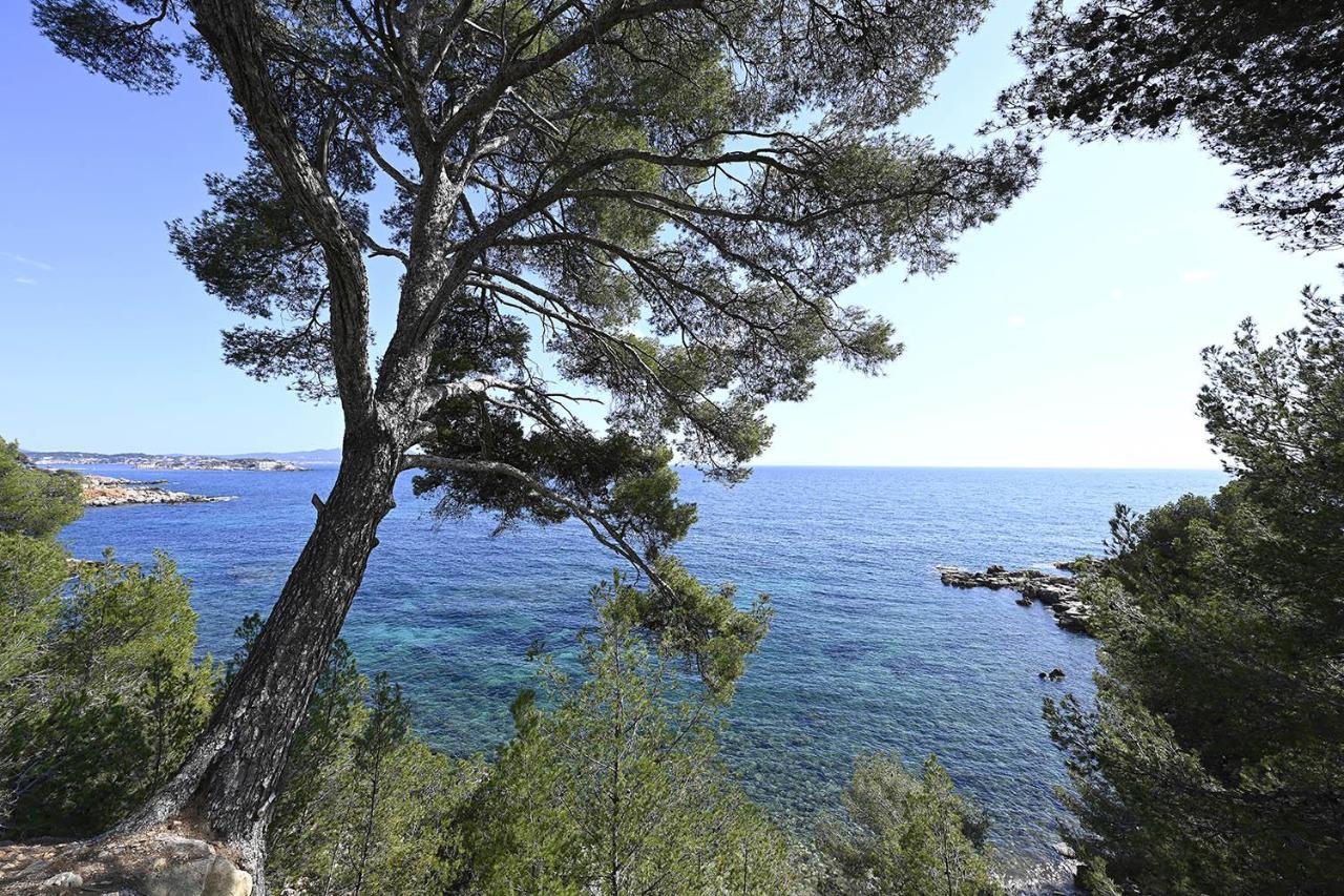 Charmant Studio 2A4 Pers Avec Jardin Et Place De Parking Situe A 5 Min A Pied De La Mer Бандоль Екстер'єр фото